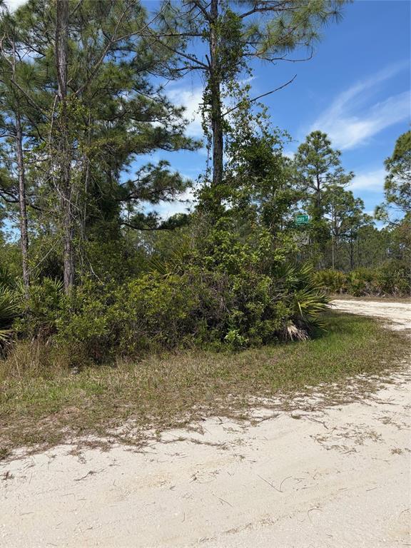 A dirt road leads to a wooded lot with pine trees and dense native vegetation — 28131 RAMIRO DRIVE, PUNTA GORDA, FL