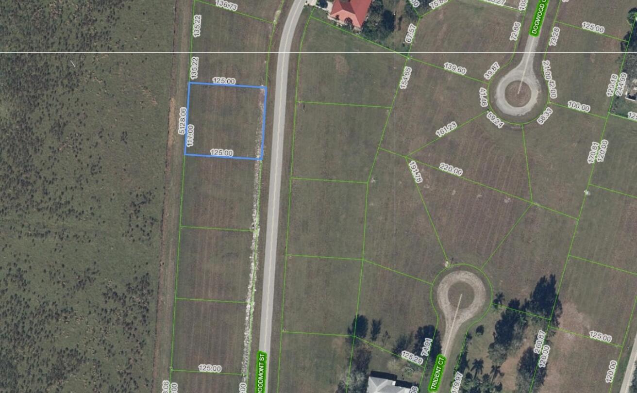 This is a satellite map showing a highlighted rectangular land parcel along a paved road — 824 Woodmont Street, Sebring FL 33876, SEBRING, FL