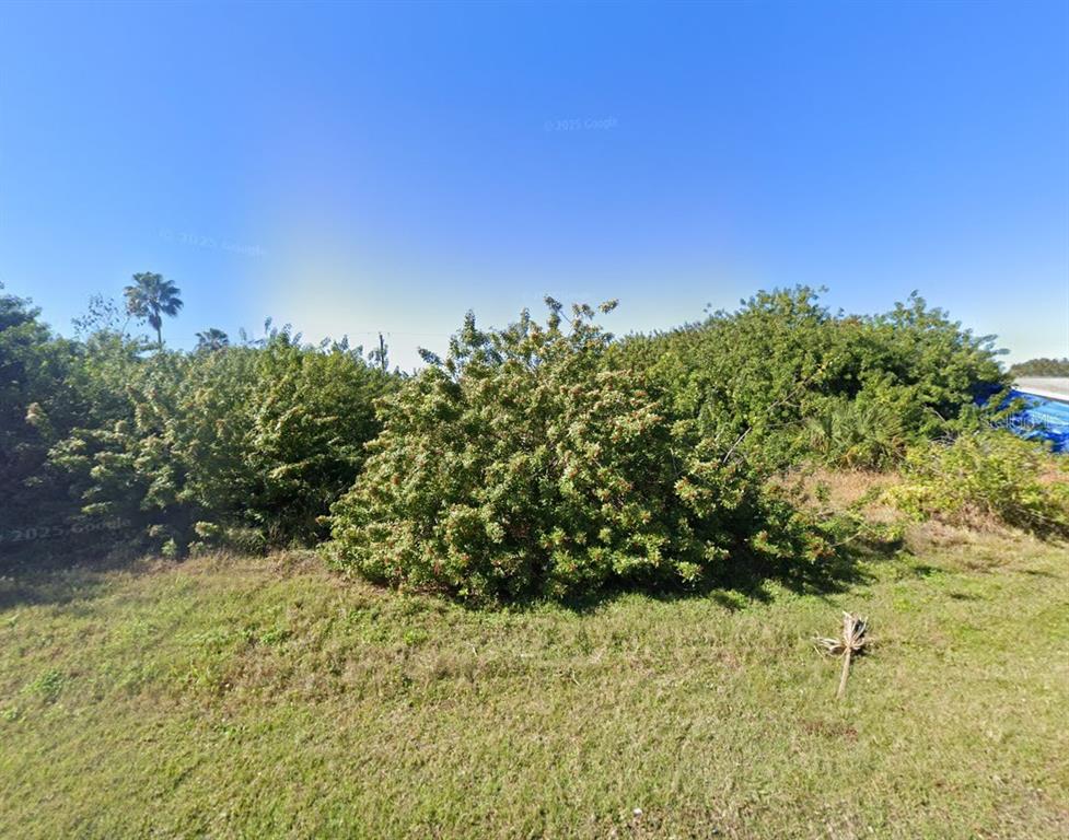 A large, dense green bush sits in the middle of a grassy, sunlit field — 234 WARWICK STREET NW, PORT CHARLOTTE, FL