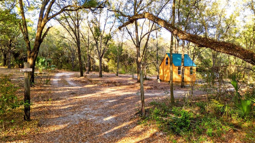 A small wooden cabin with a green metal roof sits in a wooded clearing — SE 180TH STREET, WEIRSDALE, FL