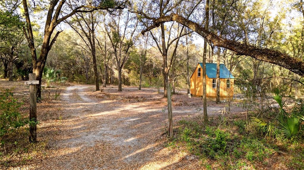 A small wooden cabin with a green metal roof sits in a wooded area — SE 180TH STREET, WEIRSDALE, FL