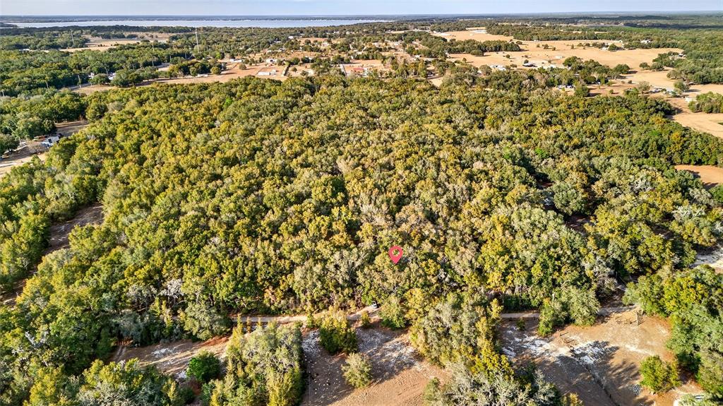 An aerial view shows a large, wooded lot with a red location pin — SE 180TH STREET, WEIRSDALE, FL