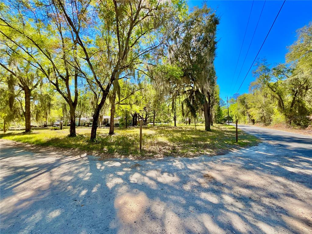 A wooded, undeveloped corner lot features mature trees with Spanish moss along a paved road — Lot 2 SE 16TH STREET, MELROSE, FL