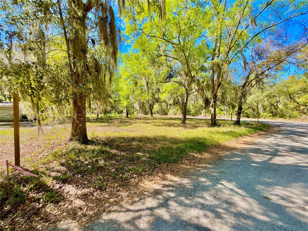 A grassy, tree-filled vacant lot sits beside a dirt road on a sunny day — Lot 2 SE 16TH STREET, MELROSE, FL