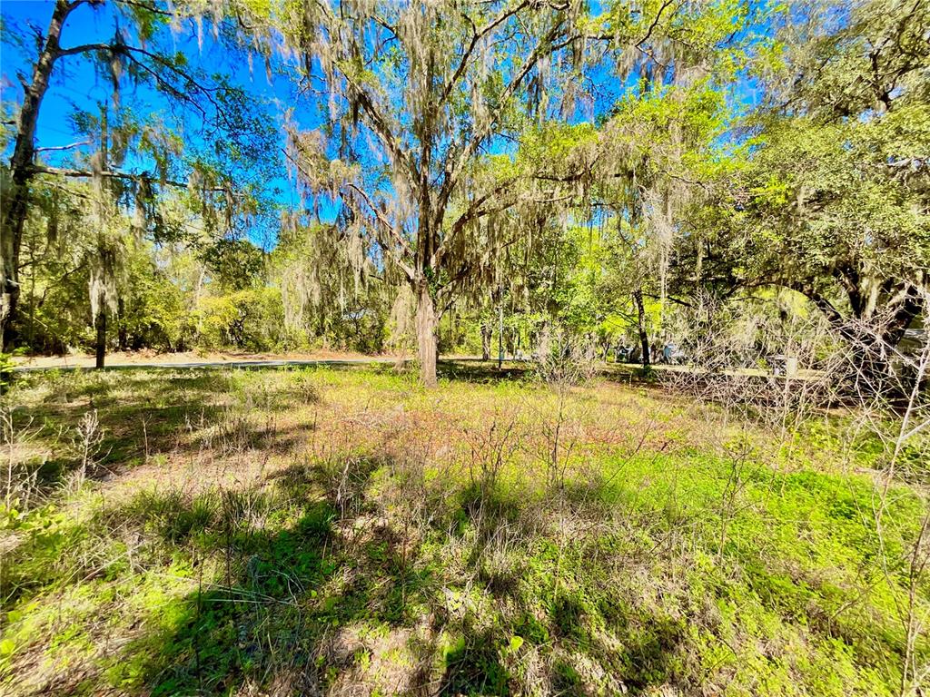 A vacant, grassy lot features several large trees draped with Spanish moss — Lot 2 SE 16TH STREET, MELROSE, FL