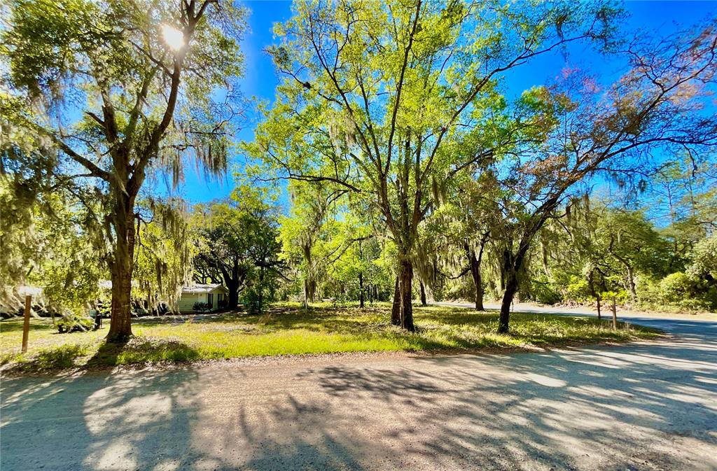 A dirt road leads to a wooded lot with large trees and a small house — Lot 2 SE 16TH STREET, MELROSE, FL