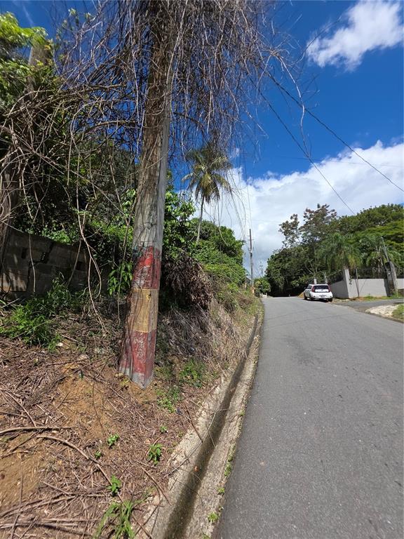 A utility pole with red and yellow markings stands beside a paved road and hillside — BO QUEBRADA CRUZ, TOA ALTA, PR
