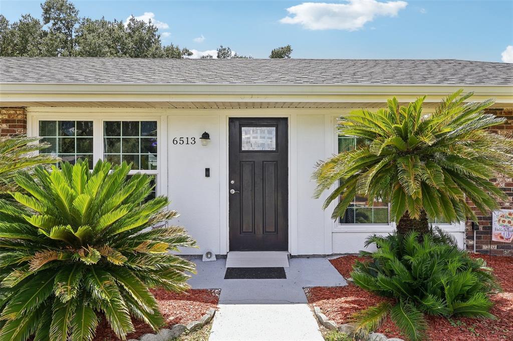 The exterior of a house features a black front door, white walls, and two palm plants — 6513 NEWMAN CIRCLE W, LAKELAND, FL