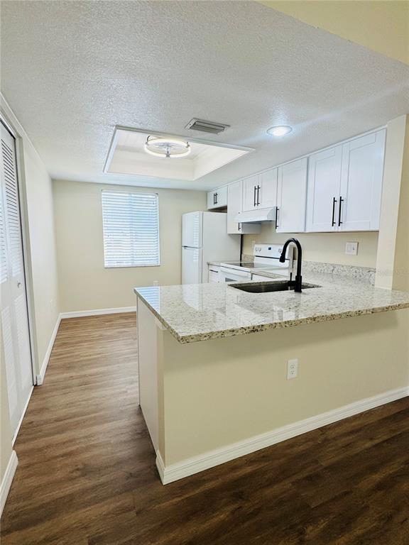 A kitchen features white cabinets, granite countertops, a black faucet, and wood-look flooring — 134 CYPRESS COURT, OLDSMAR, FL