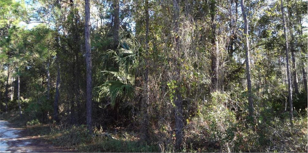 12TH AVE, DELAND, FL — photo 2 of 2