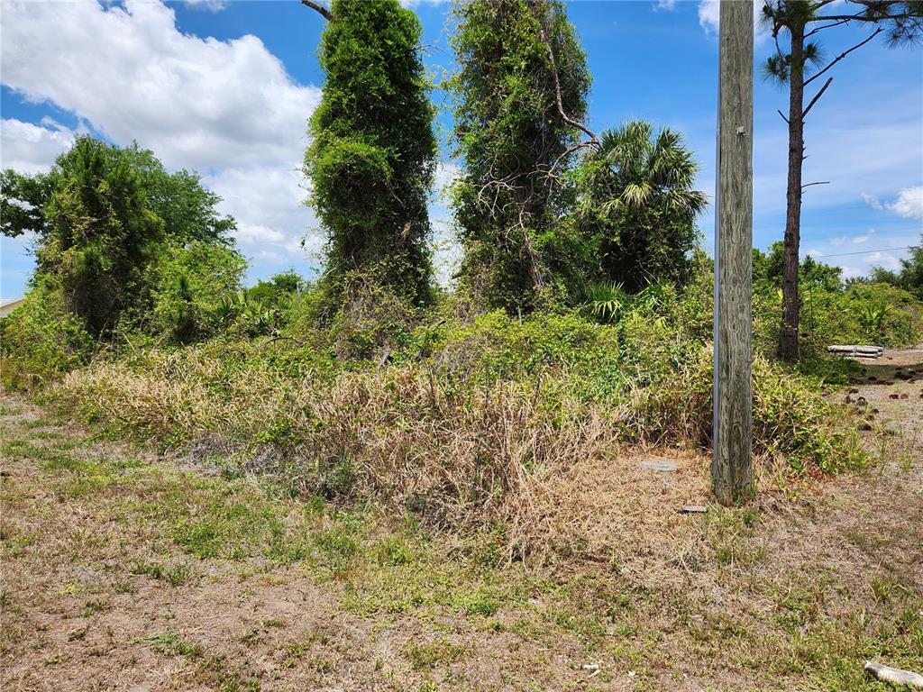 An overgrown, undeveloped lot features several tall trees and a utility pole under a sky — 13128 FORESMAN BOULEVARD, PORT CHARLOTTE, FL