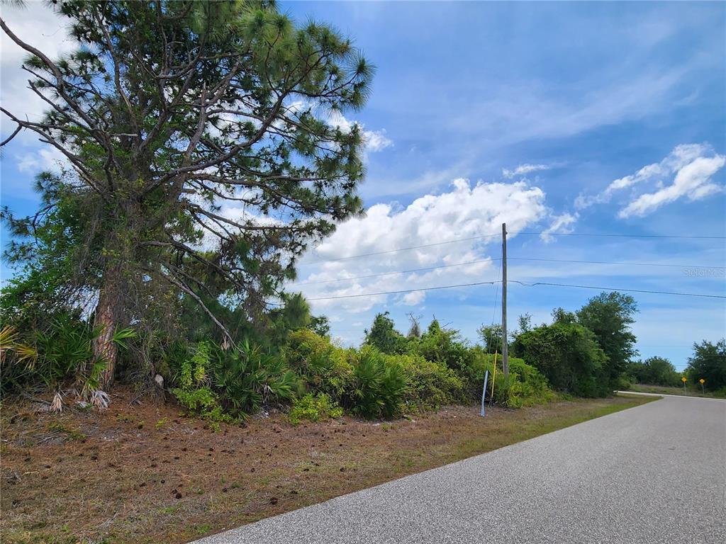 A paved road runs alongside a vacant, wooded lot with a large pine tree — 13128 FORESMAN BOULEVARD, PORT CHARLOTTE, FL