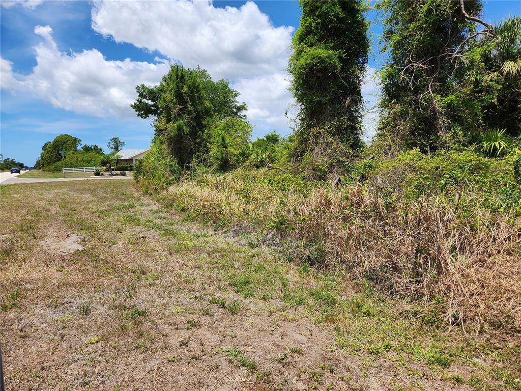 A vacant, grassy lot with dense vegetation and trees under a blue sky — 13128 FORESMAN BOULEVARD, PORT CHARLOTTE, FL