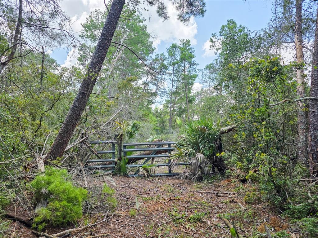 340 SAND PINE PLACE