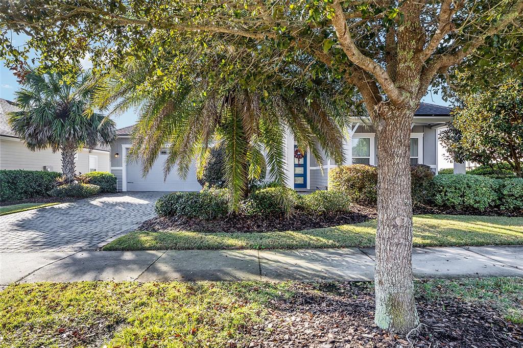 A single-story house with a paved driveway, a blue front door, and mature landscaping — 11895 SW 33RD LANE, GAINESVILLE, FL