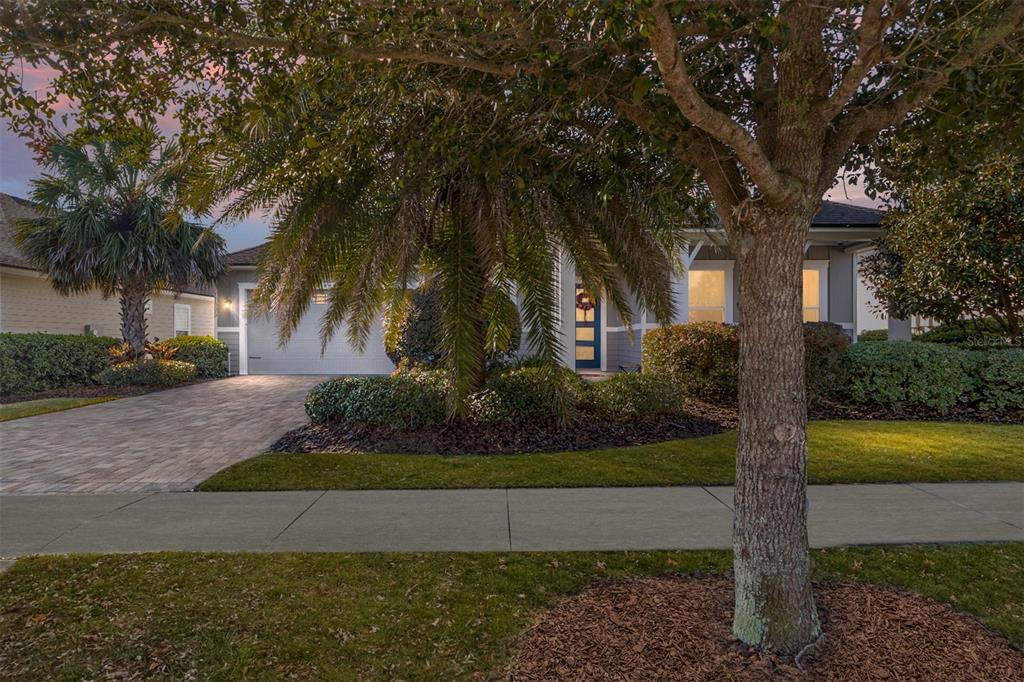 A single-story house with a paved driveway, a palm tree, and a blue front door — 11895 SW 33RD LANE, GAINESVILLE, FL