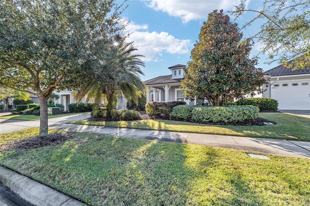 A single-story house with a white exterior, a palm tree, and a manicured front lawn — 11895 SW 33RD LANE, GAINESVILLE, FL