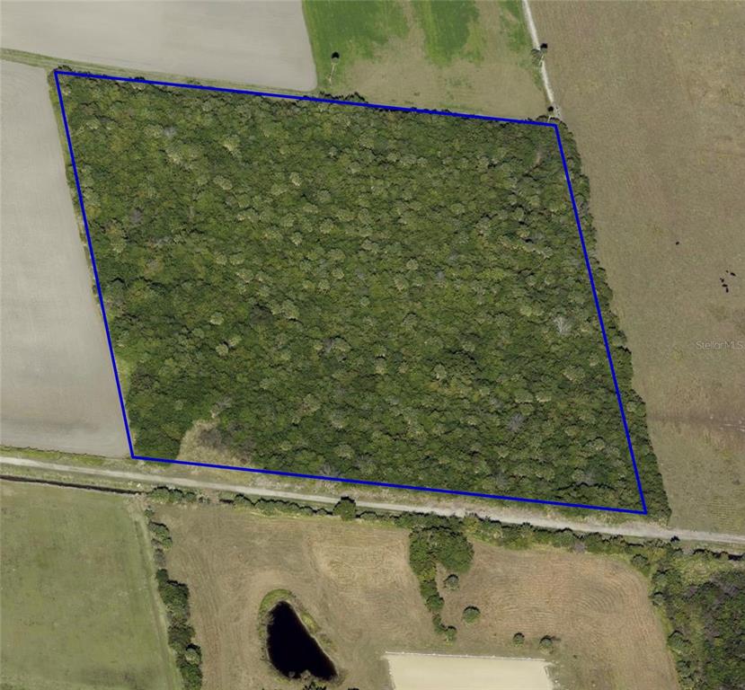 This is an aerial map showing a rectangular plot of land outlined in blue — 0 ORLANDO AVENUE, MIMS, FL