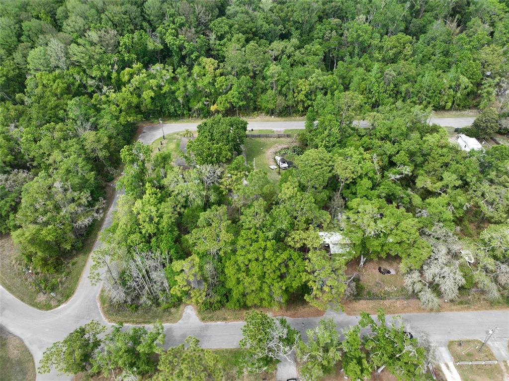 An aerial view shows a wooded residential lot with a small house and a boat — EAGLE LAKE AVENUE, NEW PORT RICHEY, FL