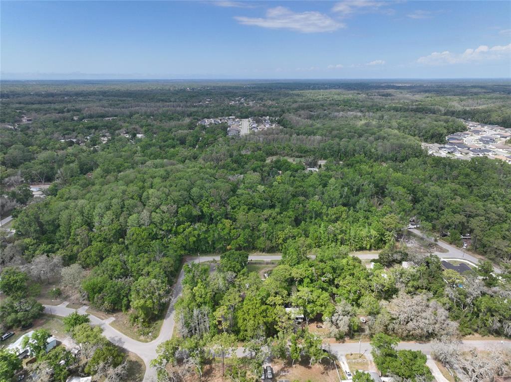 An aerial view shows a wooded lot surrounded by residential streets and suburban neighborhoods — EAGLE LAKE AVENUE, NEW PORT RICHEY, FL