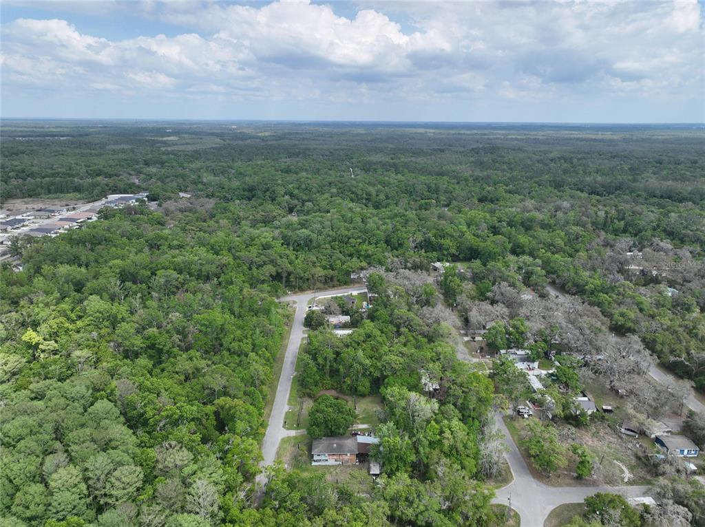 An aerial view shows a residential street surrounded by dense forest and scattered houses — EAGLE LAKE AVENUE, NEW PORT RICHEY, FL