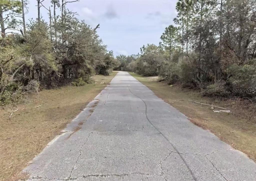 A narrow, cracked asphalt road stretches through a wooded area with trees on both sides — 441 VERNON COURT, KISSIMMEE, FL