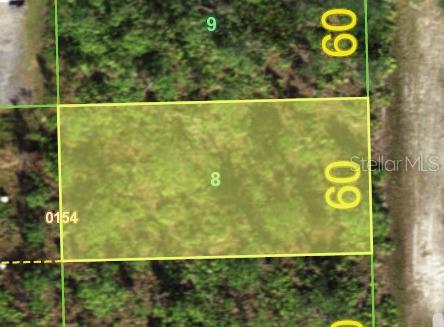 This is an aerial map view showing a rectangular plot of land labeled number eight — 12293 CAMPHOR DRIVE, PUNTA GORDA, FL