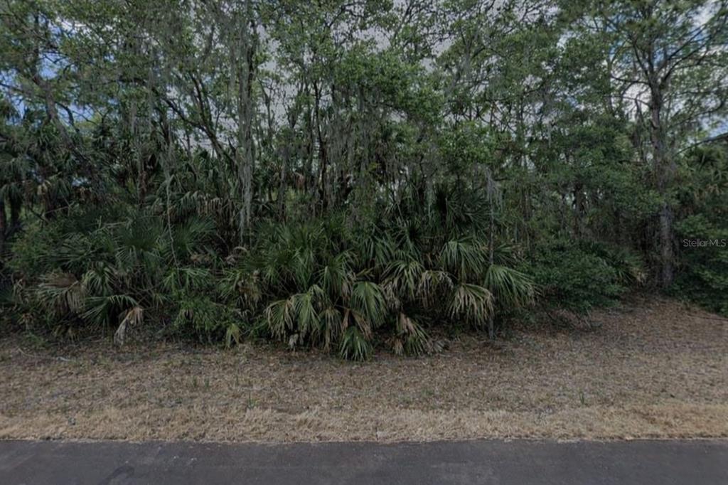 A view of a wooded, undeveloped residential lot with dense trees and palmetto bushes — 297 BILTMORE STREET, PORT CHARLOTTE, FL