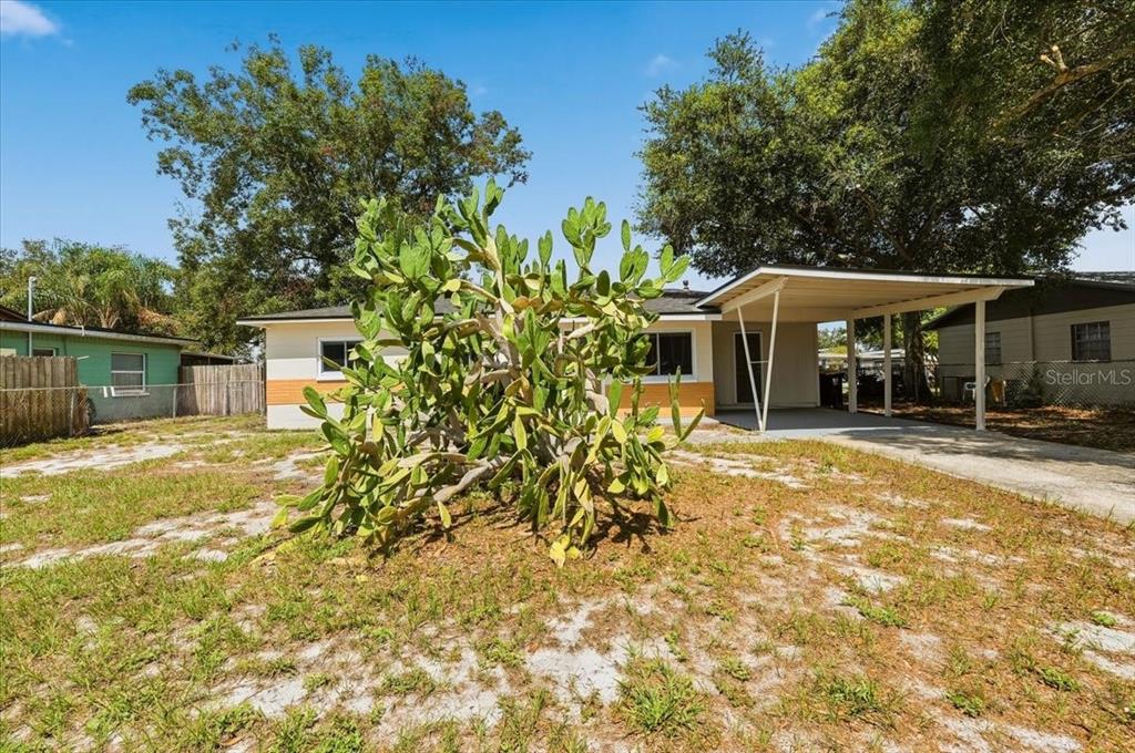 A single-story house with a large cactus in the front yard and a carport — 813 ELLERBE WAY, LAKELAND, FL