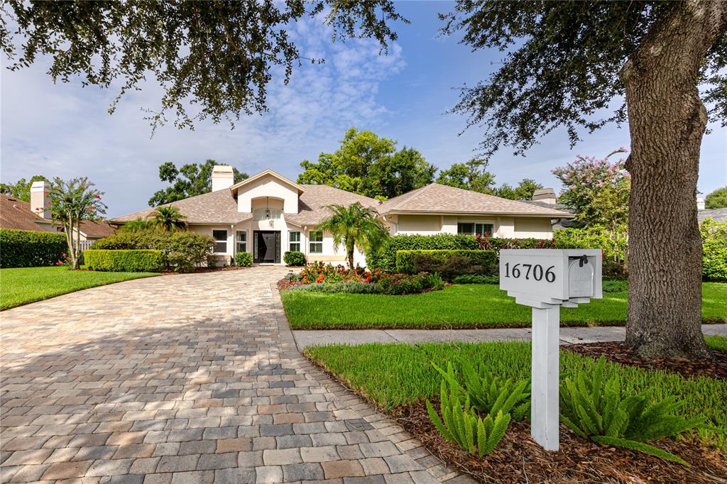A single-story house with a paved driveway and a white mailbox in the front yard — 16706 WINDSOR PARK DRIVE, LUTZ, FL