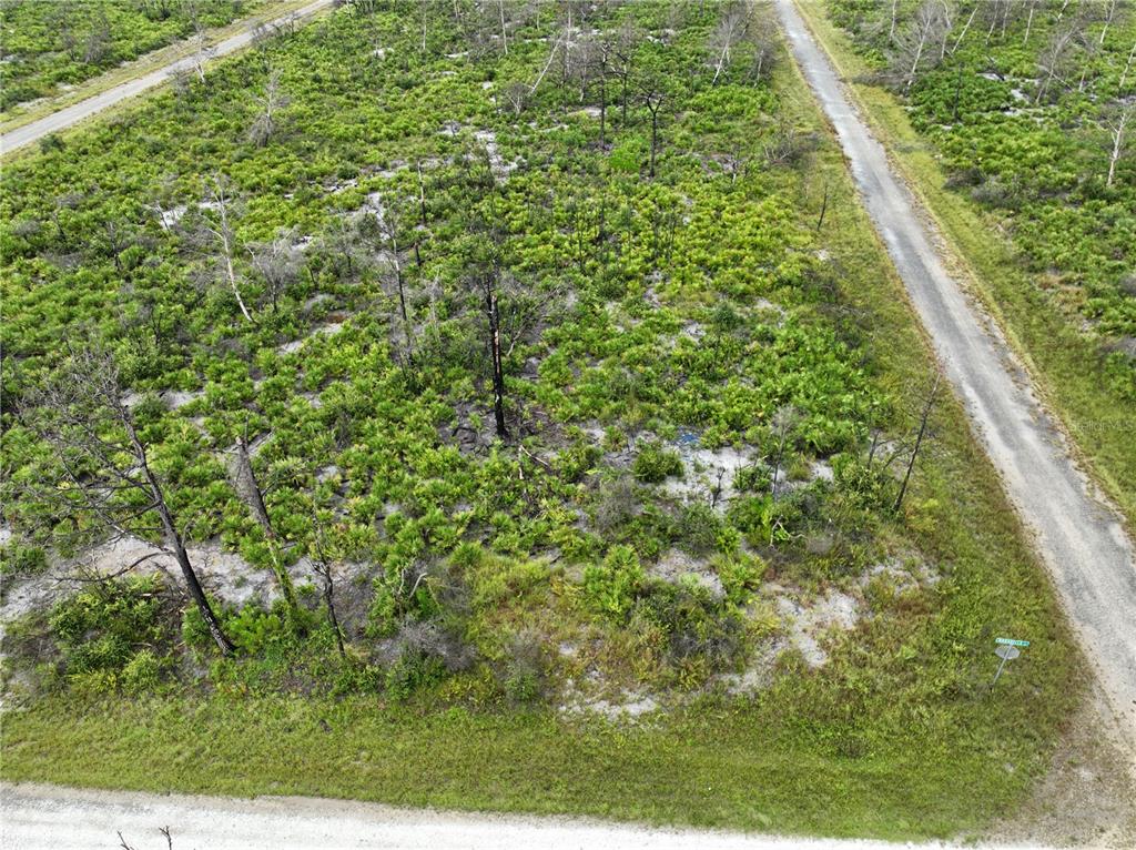 An aerial view shows a vacant, brush-covered lot bordered by two dirt roads — 3520 MARIANA AVENUE, LAKE PLACID, FL