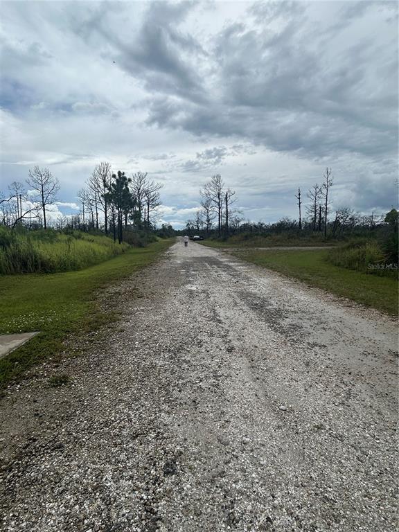 A gravel road stretches through a rural landscape with sparse trees under a cloudy sky — 3520 MARIANA AVENUE, LAKE PLACID, FL