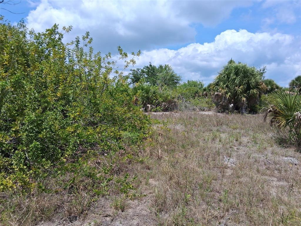 A vacant, overgrown lot features dry grasses, scattered shrubs, and several palm trees — 10166 KINGSVILLE DRIVE, PORT CHARLOTTE, FL