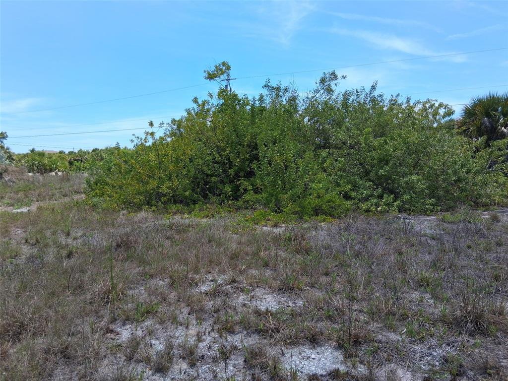 A large, dense green shrub grows in the center of a sandy, grass-covered vacant lot — 10166 KINGSVILLE DRIVE, PORT CHARLOTTE, FL