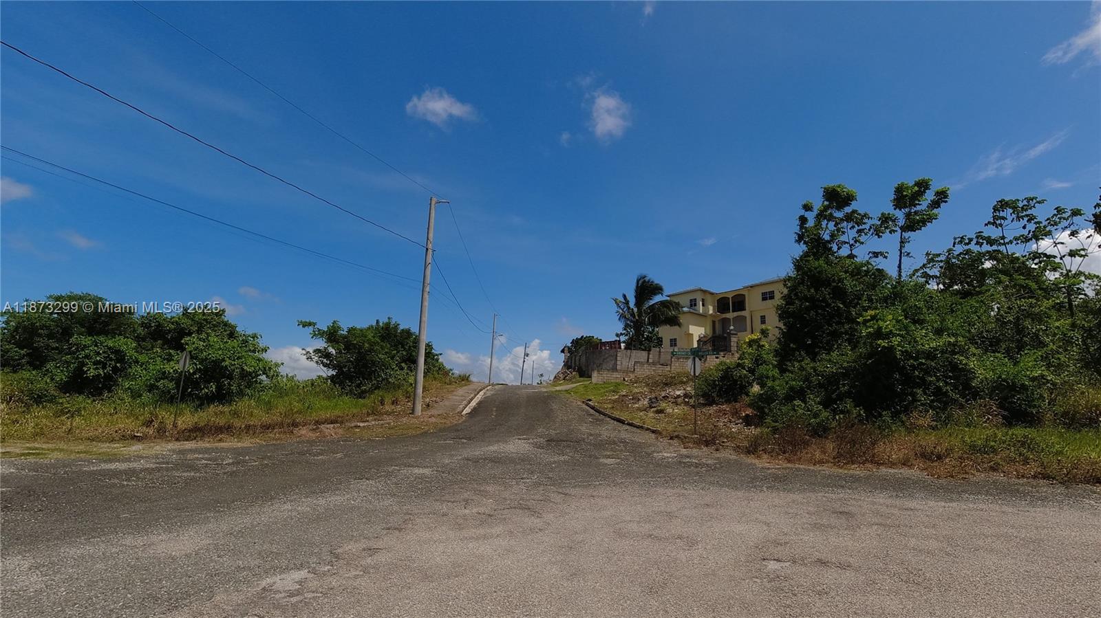 View of Corner lot 443 on left at crossroads. Existing dwelling across from lot. — 443 Minard Pen, jA, jA