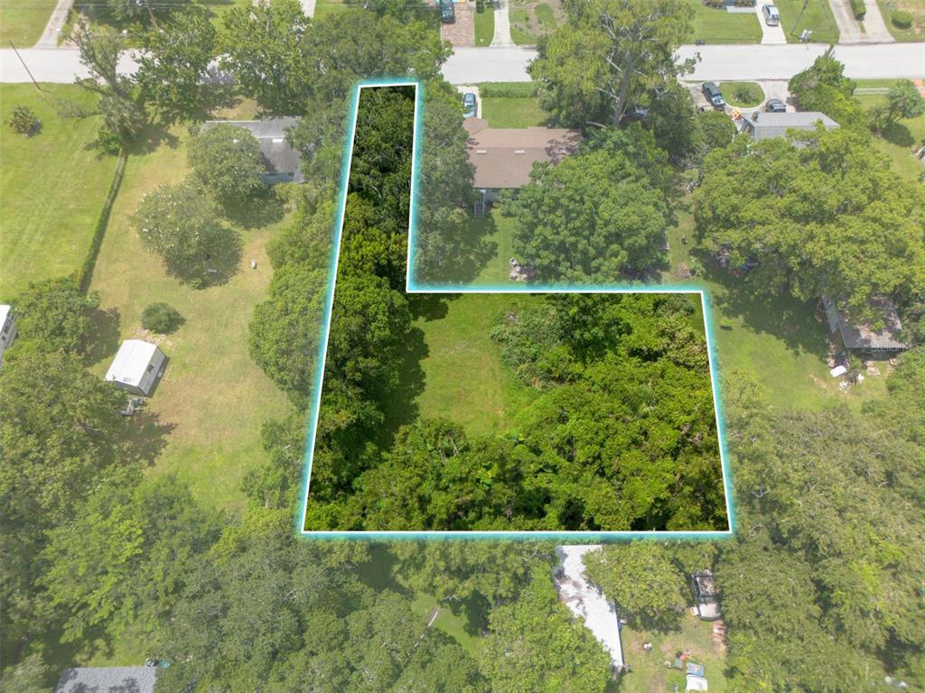 An aerial view shows a vacant, L-shaped wooded lot outlined in blue — CARLTON DRIVE, ORLANDO, FL