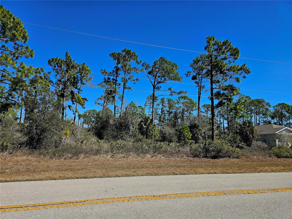A paved road runs in front of a wooded lot with tall pine trees — 1468 BISCAYNE DRIVE, PORT CHARLOTTE, FL