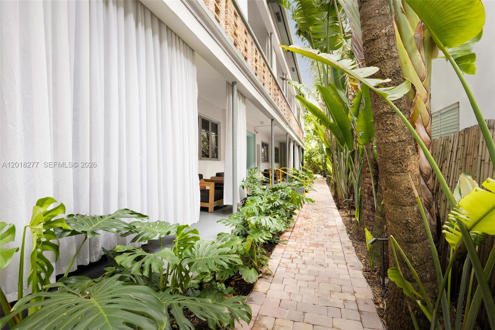 A brick walkway runs alongside a building with white curtains and lush tropical plants — 1551 Lenox Ave # 8, Miami Beach FL 33139, MIAMI BEACH, FL