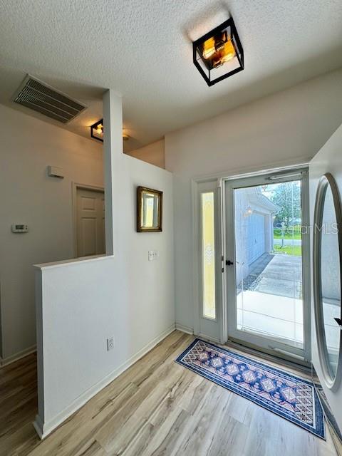An entryway features light wood-look flooring, a half wall, and a modern geometric ceiling light — 2360 NW 53RD AVENUE ROAD, OCALA, FL