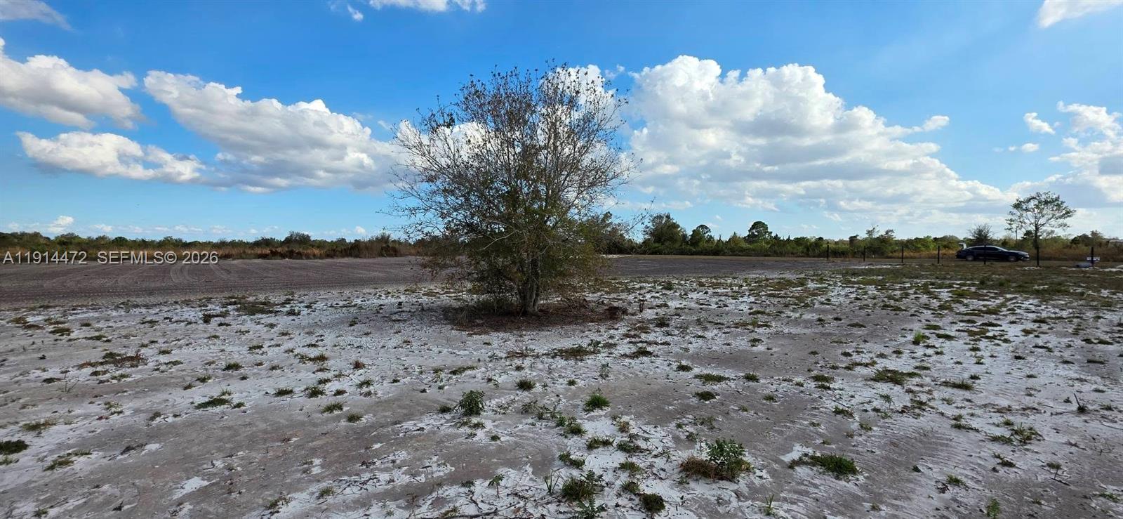 A lone tree stands in the center of a large, flat, sandy, and sparsely vegetated lot — 16525 NW 260 st, Okeechobee FL 34972, OKEECHOBEE, FL