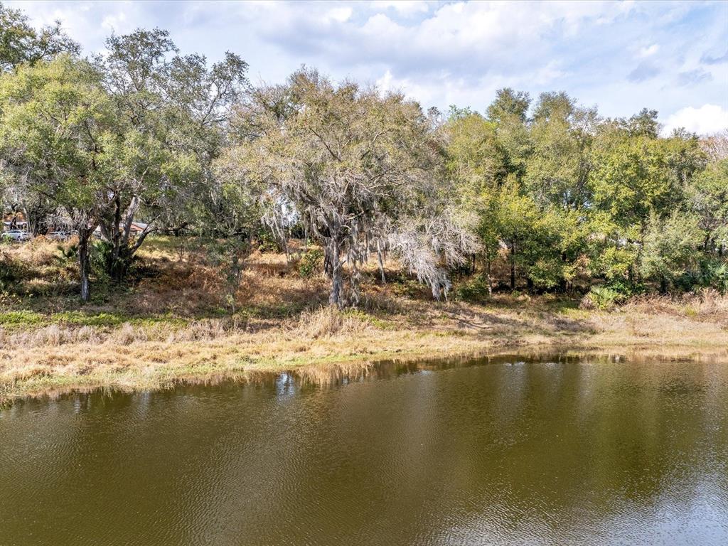 A view of a pond with a grassy bank and mature trees in the background — 507 ENKA AVENUE, ORLANDO, FL