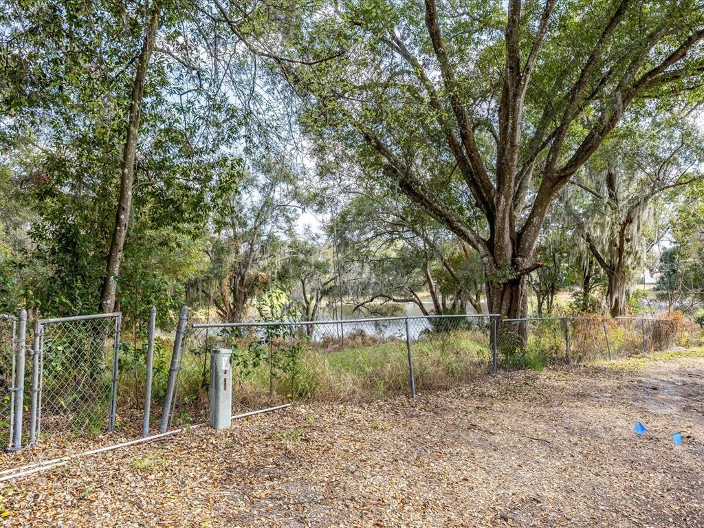 A chain-link fence borders a wooded area overlooking a small pond on a sunny day — 507 ENKA AVENUE, ORLANDO, FL