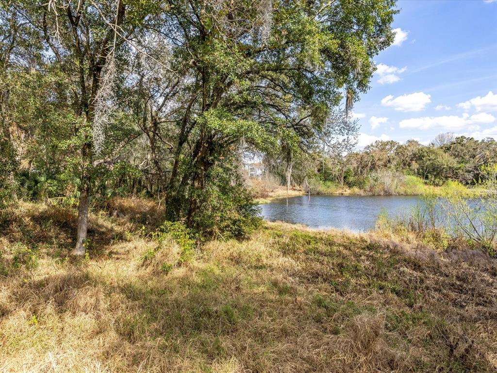 A grassy field leads to a pond surrounded by trees under a blue sky — 507 ENKA AVENUE, ORLANDO, FL