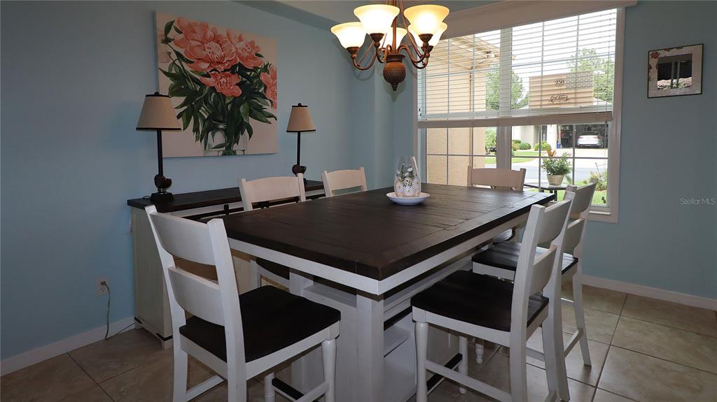 A dining room features a dark wood table, white chairs, a chandelier, and light blue walls — 11735 SE 91ST CIRCLE, SUMMERFIELD, FL