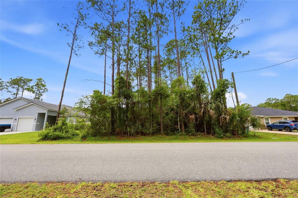 A vacant, wooded residential lot sits between two single-family homes along a paved road — 73 ULLIAN TRAIL, PALM COAST, FL