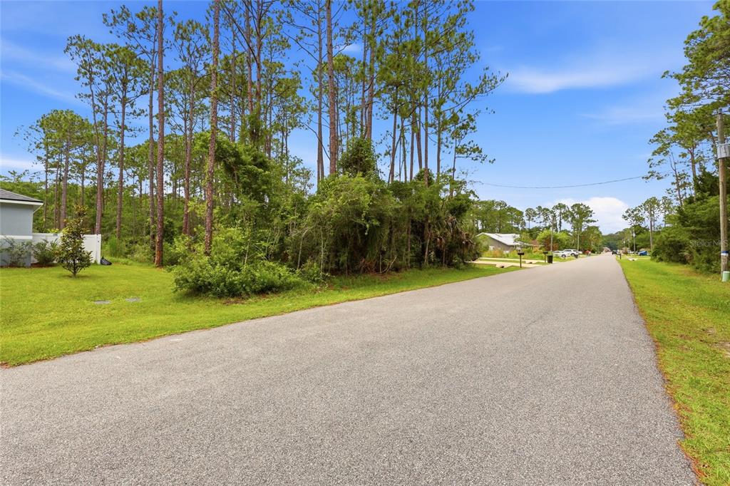 A paved road runs past a grassy lot with dense trees and vegetation — 73 ULLIAN TRAIL, PALM COAST, FL
