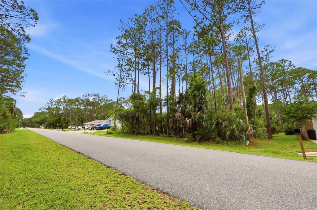 A paved road runs past a grassy lot with tall pine trees and nearby houses — 73 ULLIAN TRAIL, PALM COAST, FL