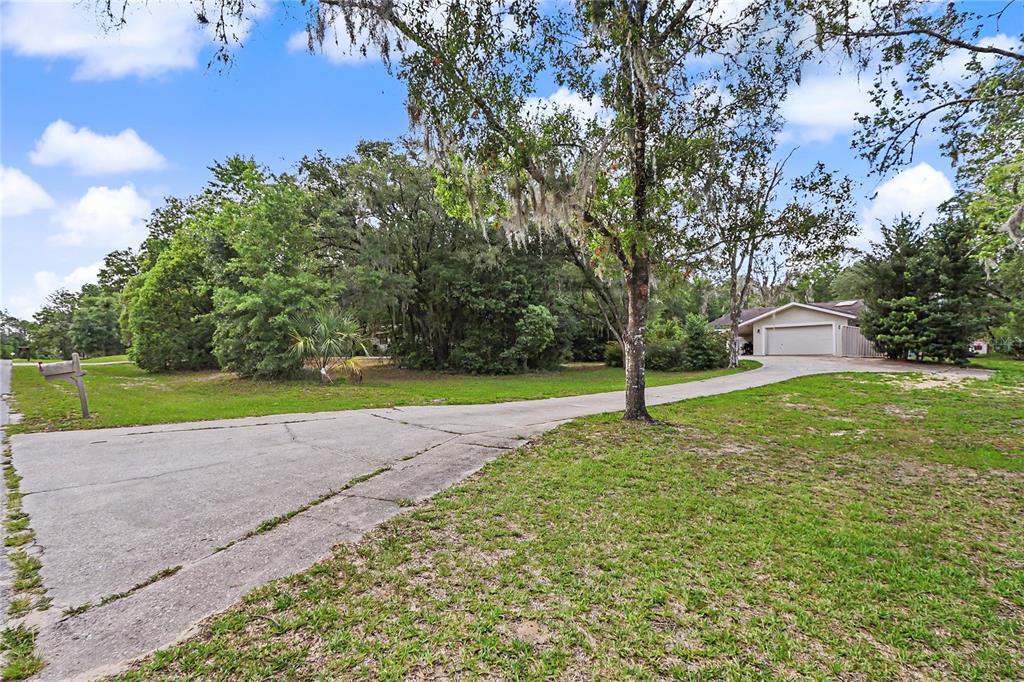 A long concrete driveway leads to a single-story house surrounded by trees and grass — 20250 SW 93 LANE ROAD, DUNNELLON, FL