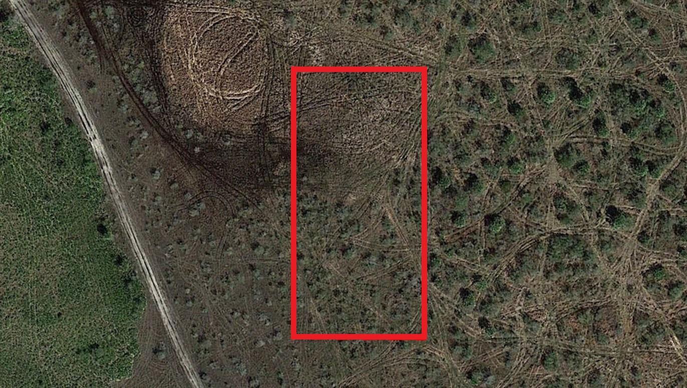 An aerial view shows a rectangular plot of land marked by a red outline — 0 NW 310th Street, Okeechobee FL 34972, OKEECHOBEE, FL