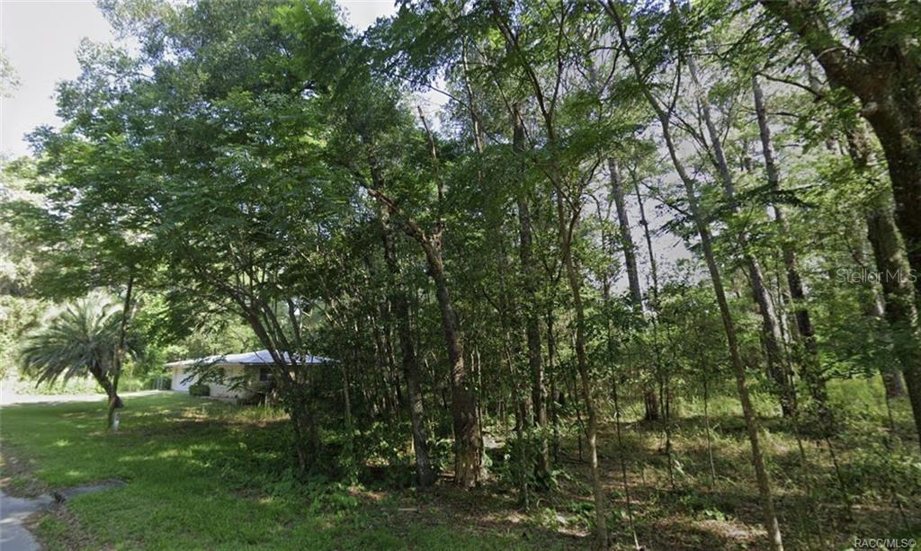 A single-story house is partially visible behind a dense cluster of trees and vegetation — 5975 E CALICO LANE, INVERNESS, FL